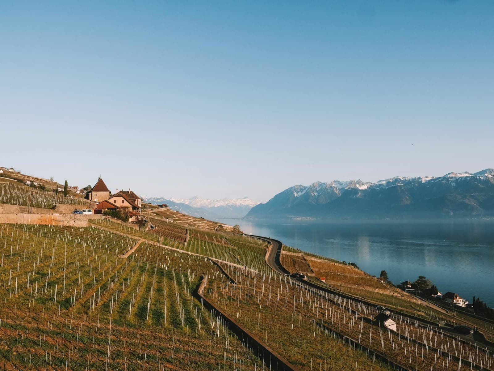 Lavaux Vineyards